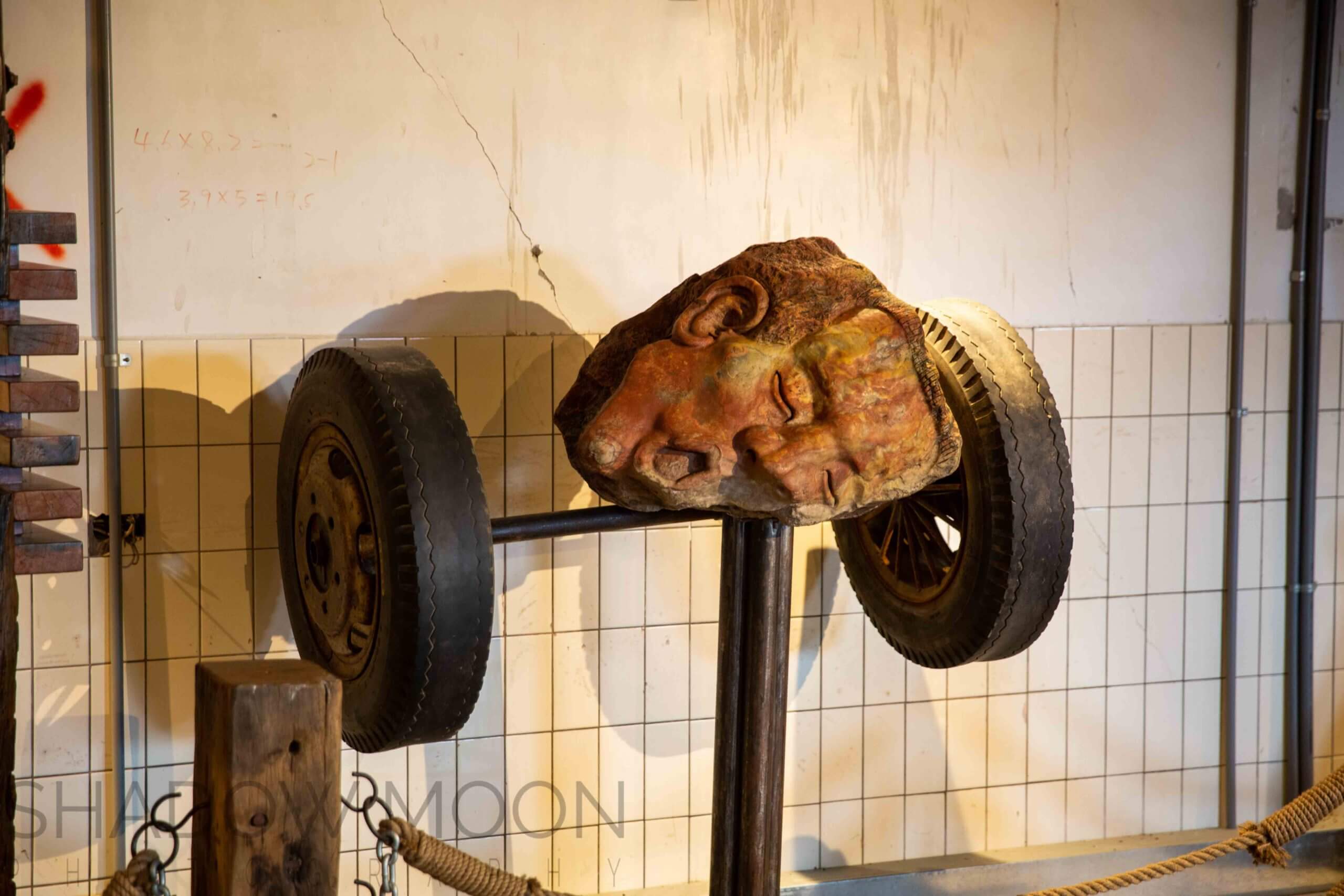 Robert Y, Robert Y廢墟, 暴龍台灣, 暴龍化石, 台灣化石, shadowmoon, shadowmoon vr, 影月, 影月vr, 影月虛擬實境製作, 影月shadowmoon vr