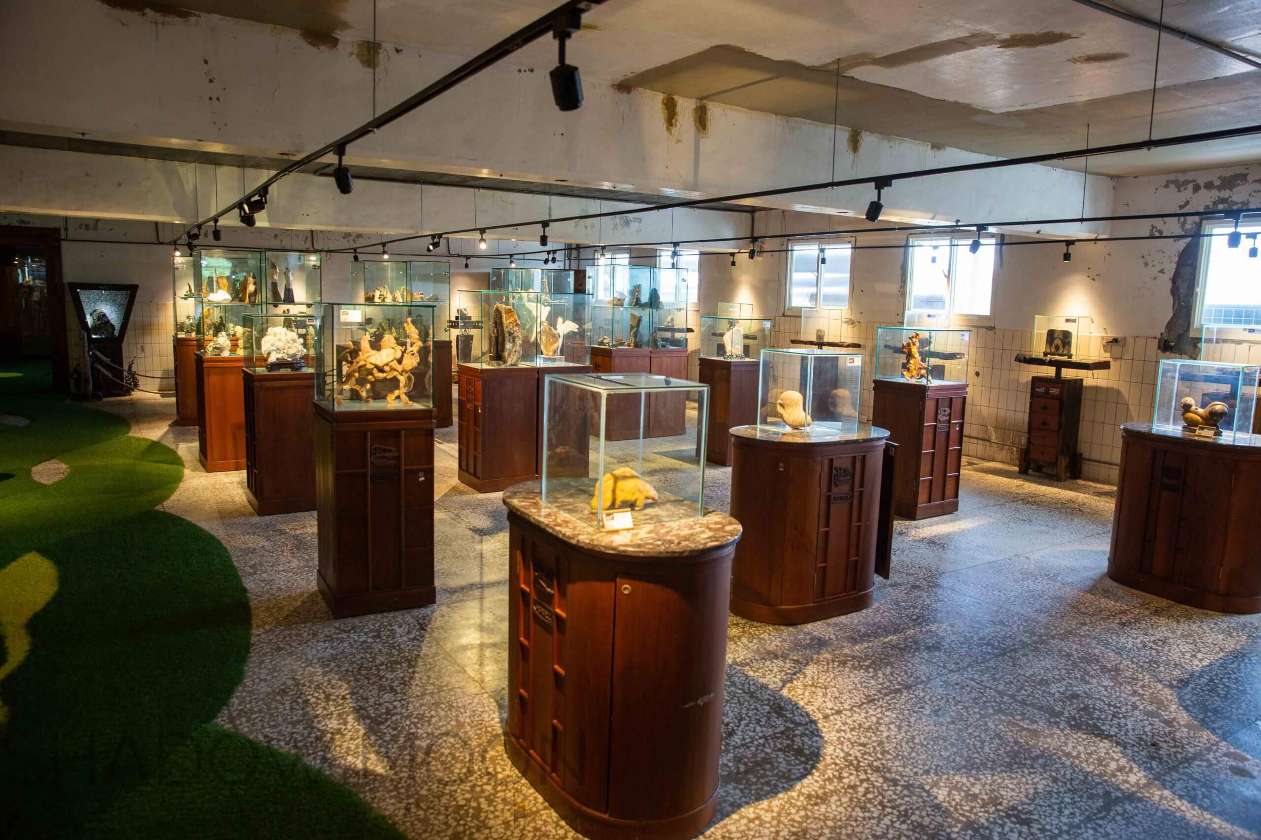 Robert Y, Robert Y廢墟, 暴龍台灣, 暴龍化石, 台灣化石, shadowmoon, shadowmoon vr, 影月, 影月vr, 影月虛擬實境製作, 影月shadowmoon vr